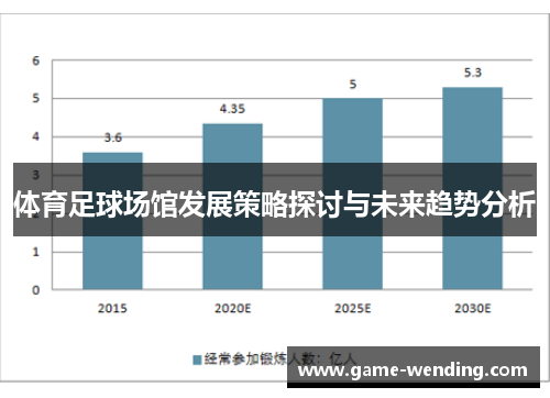 体育足球场馆发展策略探讨与未来趋势分析